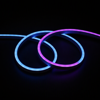 Bande LED néon flexible RGB PVC à émission latérale 24V 96 LED/m 7-8W/m IP65 Rouleau de 5m Dimmable Garantie 2 ans