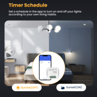 Interrupteur tactile intelligent 2 voies sans neutre 10A PC/ABS pour l'automatisation des bâtiments commerciaux américains Smart Life