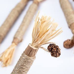 Polygonum Multiflorum rafia Sinensis Gall frutta gatta gatto Teaser palla giocattolo con bastoncino per prendere in giro e molare esercizio - Product Image 4