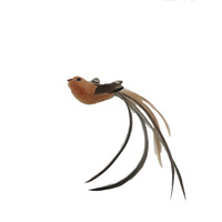 Oiseau de simulation Styles multiples Bâton de chat à main Jouet en plumes de chat