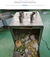 Automatische snijmachine voor fruit, aardappelen, uien en groenten/onderwaartse druk fruit- en groentesnijder