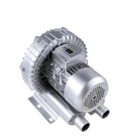 Pompe à air Vortex monophasée/triphasée 220V 380V 750W 1HP pour le pompage d'air et l'automatisation industrielle