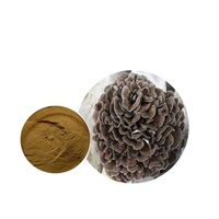 Extrait de champignon Maitake en poudre GANOHERB, qualité supérieure, durée de conservation de 2 ans, échantillon disponible en fût, stockage à l'abri de la chaleur et de l'humidité