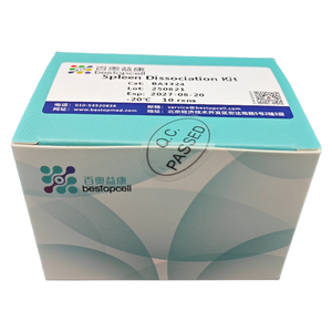 Набор для диссоциации селезенки (10 тестов) Диссоциация ткани для исследования ISO 9001 BA3324 - Product Image 1