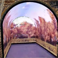 Écran tunnel haute luminosité extérieur/intérieur, module LED souple SMD P1.86 personnalisé, panneau vidéo flexible, SDK OEM pour la publicité