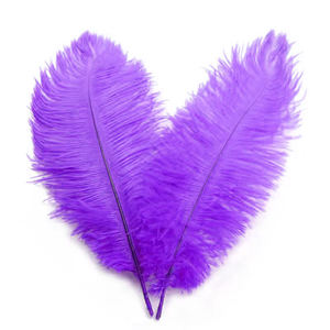 Plumes multicolores 15-20CM Plume d'autruche pour mariage, fête, danse, ornements de carnaval - Product Image 5