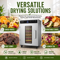 Yoursjoys Magnetron Vacuümdroger voor Fruit Snack Verwerking Laagtemperatuur Droging RVS SUS304 Elektrische Verwarming