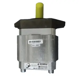 Best price ECKERLE 890-EI 890 hydraulic pump gear pump 890-EI-1000-RK2-H601 890-E1-0630-RS2-C313 890-EI-1600-RK2-H301