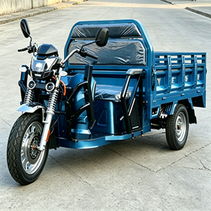 Tricycle cargo avec double certification EEC COC, boîte de chargement de 1,6 m, capacité de charge de 500 kg <span class=keywords><strong>pour</strong></span> le marché européen, 40 km/h - Product Image 5