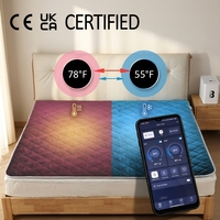 Système de refroidissement de lit intelligent à base d'eau avec contrôle de la température par application, matelas intelligent à deux zones avec système de refroidissement