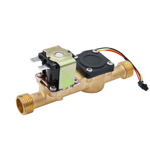 G1/2 DN15 Brass NC một cách nước solenoid van 24V với hiệu ứng <span class=keywords><strong>Hall</strong></span> Cảm biến lưu lượng cho máy nước nóng - Product Image 1
