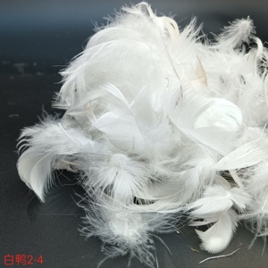 Edredón y chaqueta de plumas de pato blanco de alta calidad al por mayor de materias primas - Product Image 3