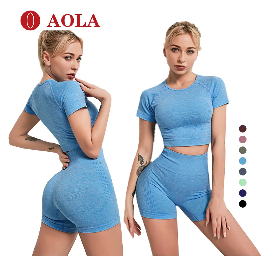 AOLA Wholesale Seamless Sets Clothing Sports Wear Fitness Logo Custom Women's Apparel Women Yoga Set
