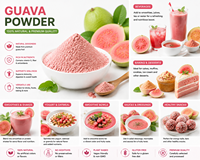 Premium Gefreeze-droogde Guavapoeder, Hoog in Vitamine C, Non-GMO, Zuiver Fruitpoeder voor Supplementen