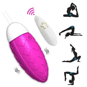 Vibrating Panties 10 Function Wireless Remote Control Bullet