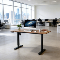 PRORIALS Bureau debout durable à moteur unique, anti-collision, de haute qualité et économique pour les petites entreprises