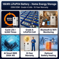 Stock UE DDP Batterie Lithium-Ion LiFePO4 51.2V 300AH 314AH 280AH 200AH 314AH 48V 20kW 15kW 10kWh 16kWh 30kWh 15kWh