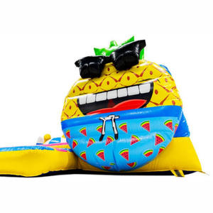 Parque Acuático Inflable Comercial con Juegos Deportivos para Parques de Diversiones, Colección Inflable de Piña Hawaiana - Product Image 4