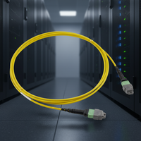 Kabel Patch Fiber Optik MPO 24 Core Tipe B Betina OS2 Kuning Bulat 1-5m (1M IL 0.35dB Maks)