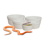 Vente en gros de fournitures pour animaux de compagnie Baignoire en céramique 9.5*4.5 Reptile Pet Snake Lizard Cornu Grenouille Tortue Bol à nourriture Bol à boire Bol pour animaux de compagnie