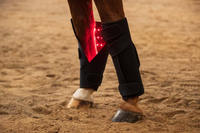 Coussin LED personnalisé pour thérapie par lumière rouge pour les bottes de cheval, certifié 660 nm, sans fil, rechargeable, ceinture infrarouge pour animaux