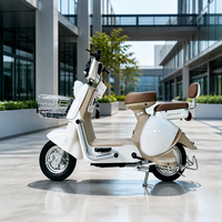 Scooter électrique élégant et écologique pour femmes et hommes, longue autonomie, cyclomoteur électrique portable pour les déplacements urbains, prix d'usine