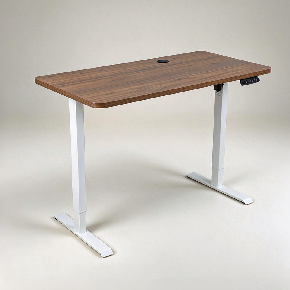 Computer Earleier Electric Height Adjustable Computer Desk Dual Motor Lift Metal Frame ...