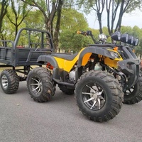 Quad agricole tout-terrain Hilly Farm 6x4 avec moteur 250cc à refroidissement par air pour le transport de matériel agricole