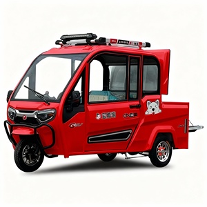 <span class=keywords><strong>Triciclo</strong></span> Eléctrico >800W Totalmente Cerrado para Carga y Pasajeros, Movilidad para Personas Mayores, Estándar Nacional - Product Image 2