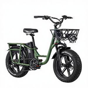 Vélo électrique cargo <span class=keywords><strong>FIIDO</strong></span> T1 Pro, pneus larges de 20 pouces, moteur 750W, batterie au lithium 48V 20AH, vitesse maximale de 45 km/h, frein hydraulique - Product Image 1
