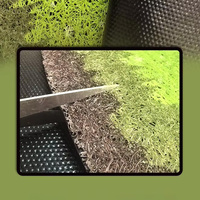 Tapis d'entrée en PVC à motif créatif de kiwi, en stock, découpe personnalisée, antidérapant, résistant à l'usure, anti-poussière