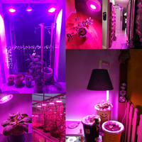 Ampoule LED de culture Liweida 7/12/15/18/20W, spectre complet, spot, Par20, Par30, Par38, lampe pour plantes verticales, fougères, mur