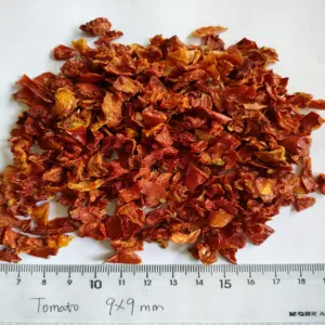 SD Tomato Flake Dehydrated High-quality International EXPORT Free Sample