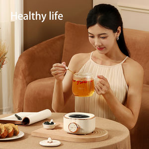 Fournisseur direct du fabricant de tasses chauffantes, commerce extérieur, tasses chauffantes rapides de 600 ml pour boissons, bureau - Product Image 5