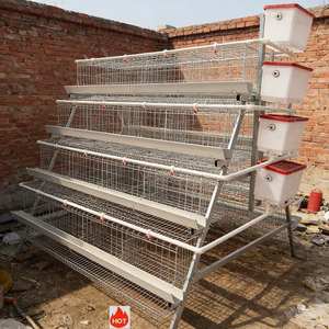 Expédition rapide, certifié CE, <span class=keywords><strong>cage</strong></span> à poules pondeuses, cages pour poulets de chair, pour les pays en développement - Product Image 1