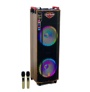 Meilleur prix SS-2217 Enceintes portables doubles de 12 pouces, système de cinéma maison Hi-Fi, enceinte karaoké avec micro - Product Image 1