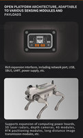 Fabrik heißer Verkauf AI 5G Autonome Smart Security Patrol Roboter Industrie hund Intelligente Vierbeiner Roboter Patrouillen erkennung