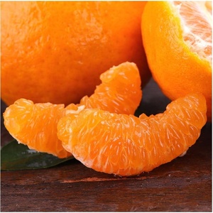 Üst sınıf çin mandarin turuncu düşük fiyatlar organik taze göbek turuncu tatlı taze narenciye mandarin - Product Image 2
