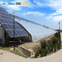 Serres agricoles photovoltaïques chinoises à simple travée en acier galvanisé à chaud avec ventilation et film solaire PE, type tunnel