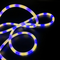 2025 nouvelle bande de lumières de corde flexible au néon numérique RGBic avec télécommande de l'application Wifi néons tressés