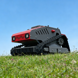 Cortadora de césped industrial autopropulsada con certificación CE de 540 mm, fabricada en China. - Product Image 1