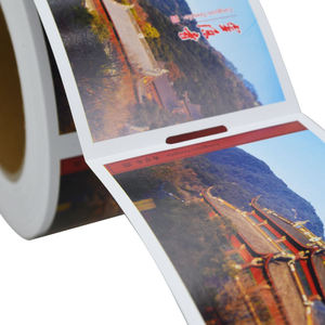 Rollo <span class=keywords><strong>de</strong></span> impresión personalizada imprimible <span class=keywords><strong>de</strong></span> doble cara, billete <span class=keywords><strong>de</strong></span> papel térmico directo preimpreso para vuelo, cine, <span class=keywords><strong>tren</strong></span>, parque infantil - Product Image 5
