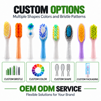 Brosse à dents en nylon antidérapante à ventouse en silicone, à poils moyens, pour soins bucco-dentaires, vente en gros directe d'usine