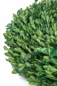 Christmas Door Decorating <strong>Wreath</strong> Preserved <strong>Small</strong> Leaved Boxwood <strong>Wreath</strong> Door Decoration - Product Image 2