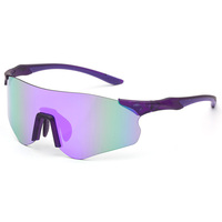 Lunettes de soleil de sport polarisées professionnelles pour le cyclisme, protection UV400, monture légère en PC, pour hommes et femmes, pour le vélo en plein air