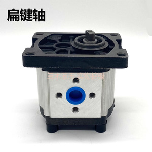 Pompe à engrenages hydraulique 25Mpa à arbre à clavette plate 1 étage CBN G304 G310 G314 G316 - Product Image 1