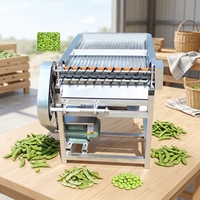 Haricots Mung Verts Frais de Haute Qualité Sortex, Haricots Vigna en Vrac d'Origine Ouzbekistan avec 99% de Pureté pour la Germination