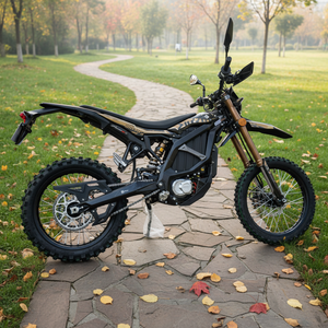 Vente en gros de VTT Ultra 74V 60Ah 21KW 511N.m 59mph tout-terrain à batterie lithium haute vitesse pour adultes - Product Image 3