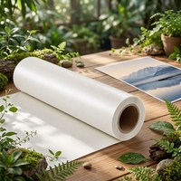 Film biodégradable compostable, film de laminage thermique respectueux de l'environnement, dégradable, finition mate ou brillante pour l'emballage des boîtes