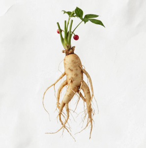 High Strength TW Ginseng PDRN 100ppm Plant <b>Extract</b> Cosmetic Raw Material Panax Ginseng <b>Extract</b> With Polynucleotide - Product Image 3